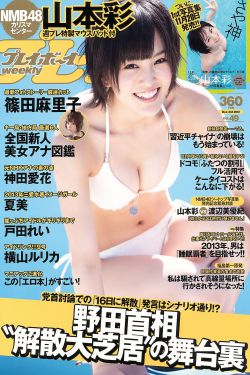 九岁县太爷演员表